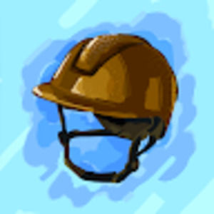 Meet your Posher, Sophie